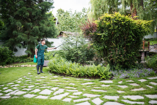 Best Lawn Irrigation Installation and Maintenance  in Kuna, ID