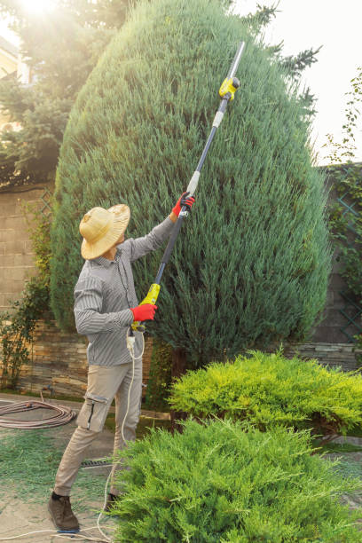 Best Lawn Pest Prevention  in Kuna, ID